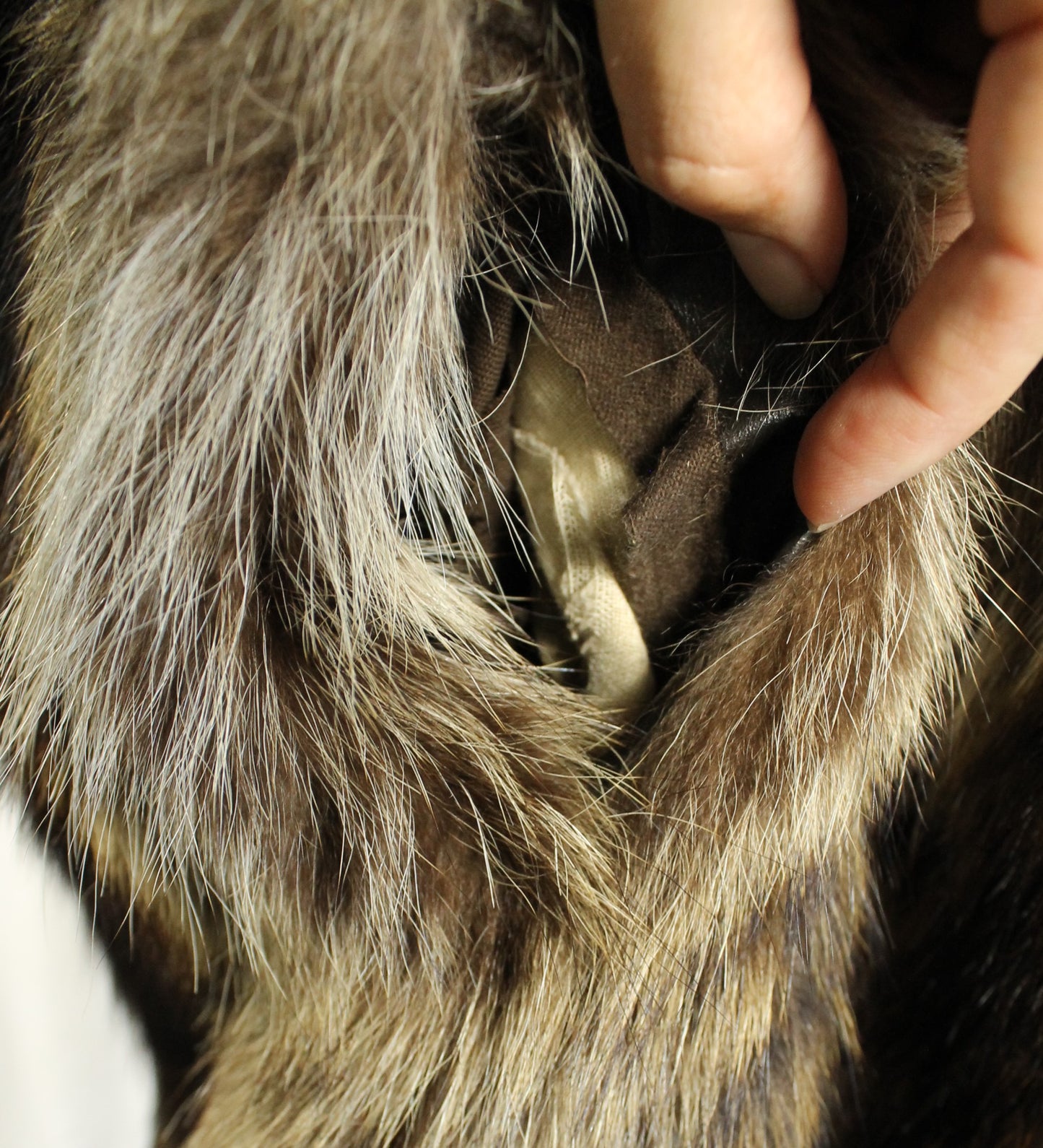 Dramatic Vintage Long-Haired Striped Fur Coat Size XXL - Full Length with Wide Collar - Made in Canada