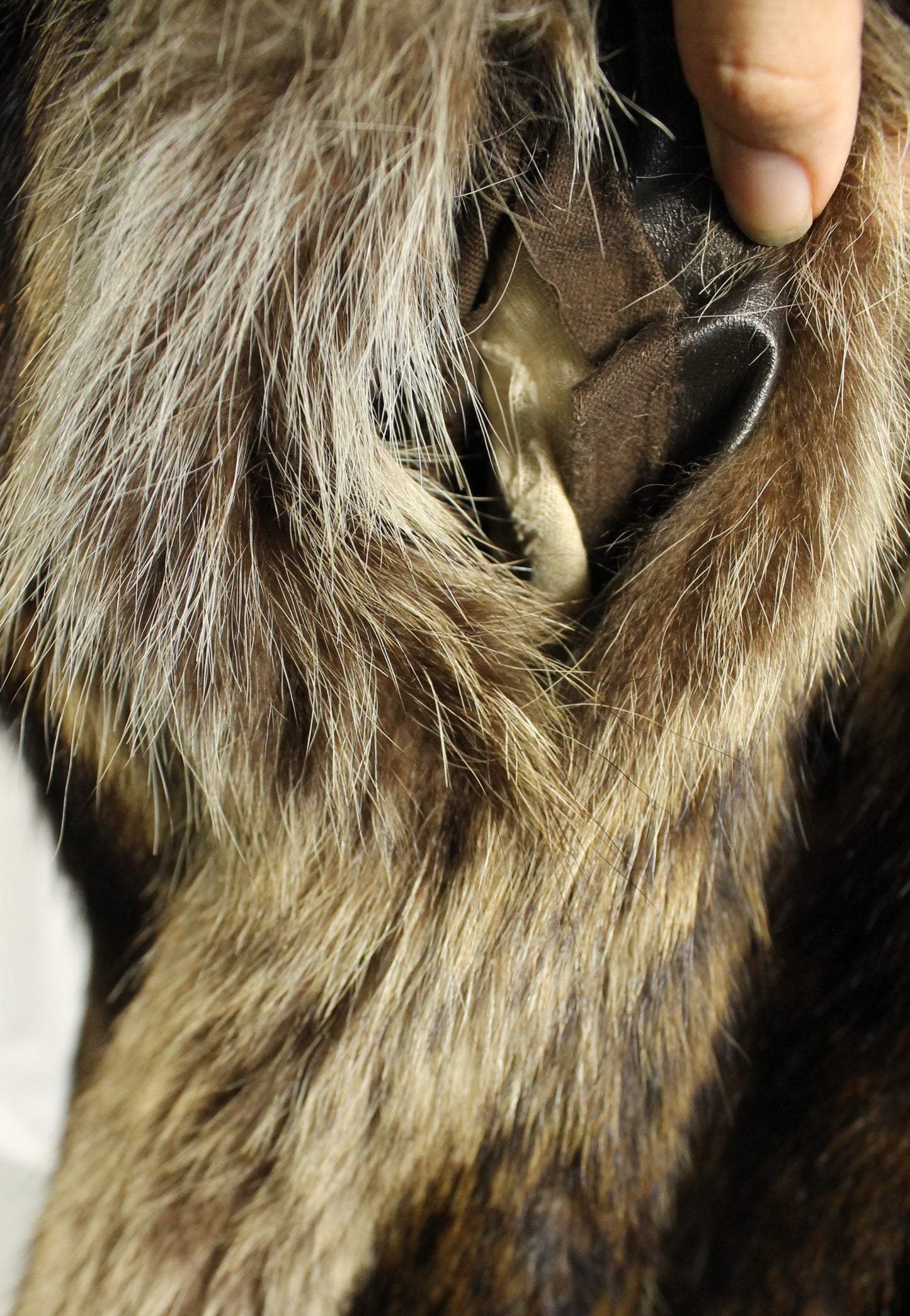 Dramatic Vintage Long-Haired Striped Fur Coat Size XXL - Full Length with Wide Collar - Made in Canada