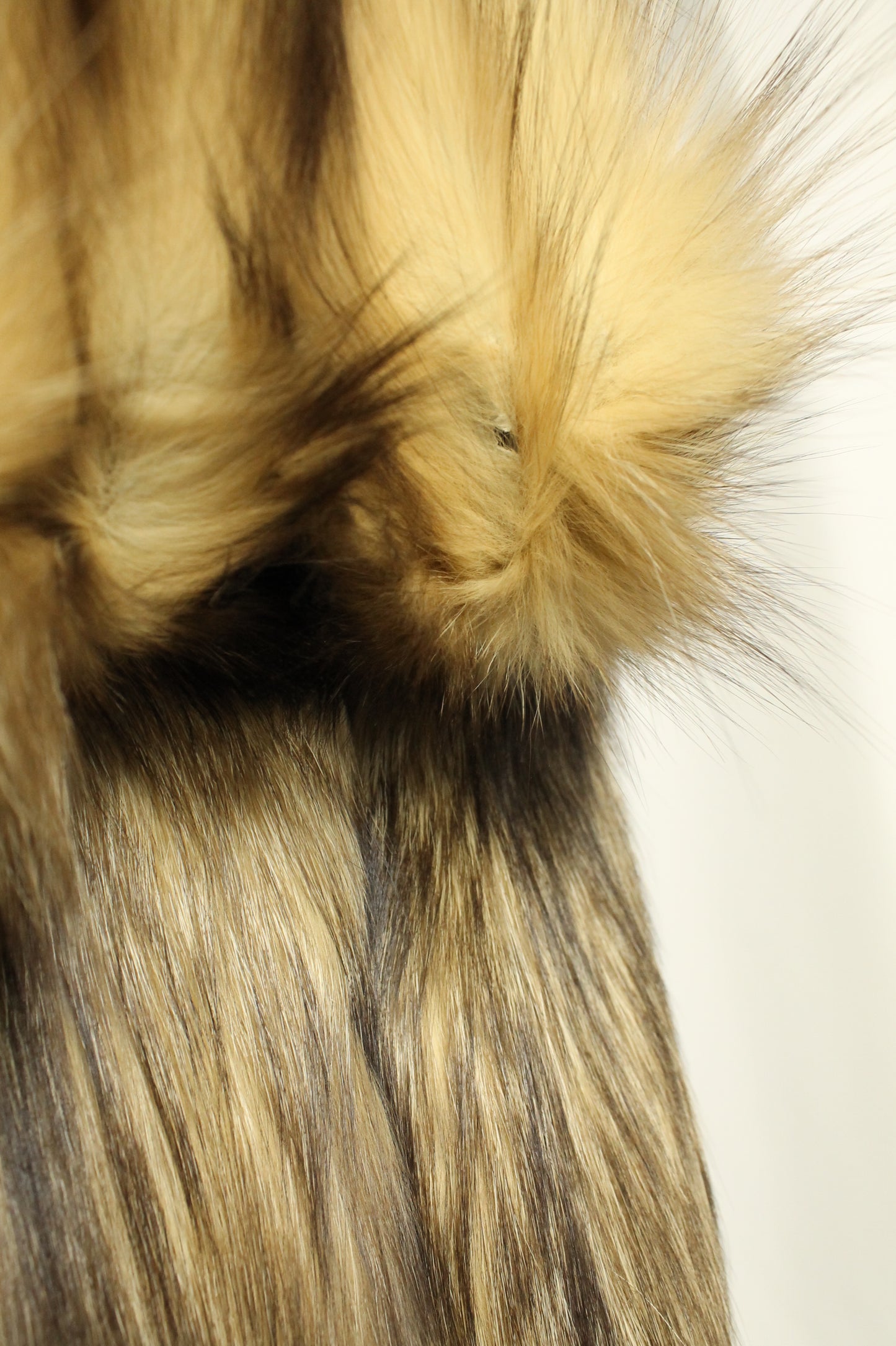 Vintage Klyman Furs Ltd. Tawny Fox/Raccoon Fur Jacket with White Fox Trim (Vintage Size 8)