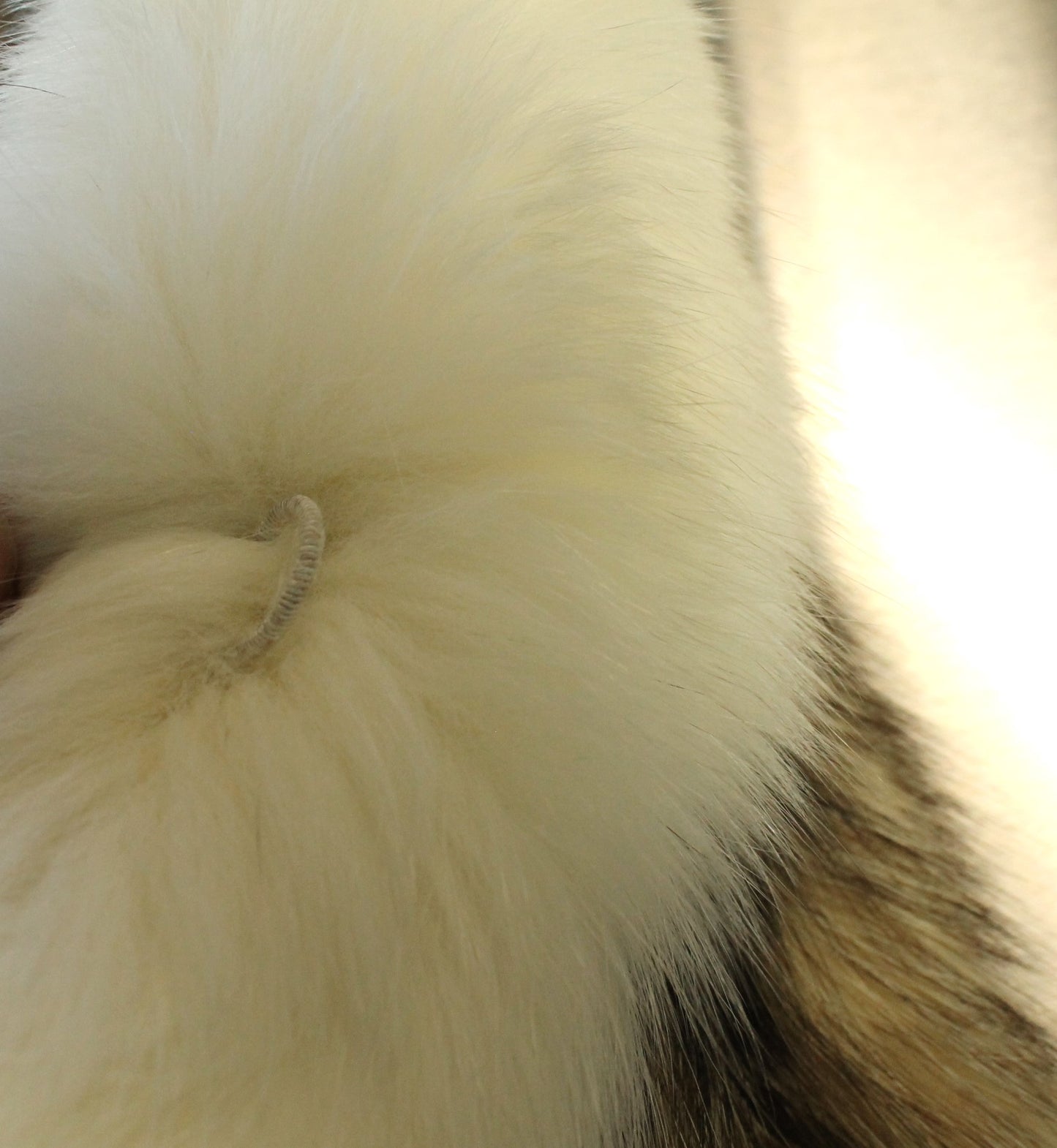 Vintage Klyman Furs Ltd. Tawny Fox/Raccoon Fur Jacket with White Fox Trim (Vintage Size 8)