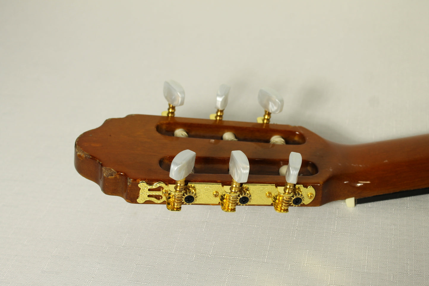 Valencia Guitar