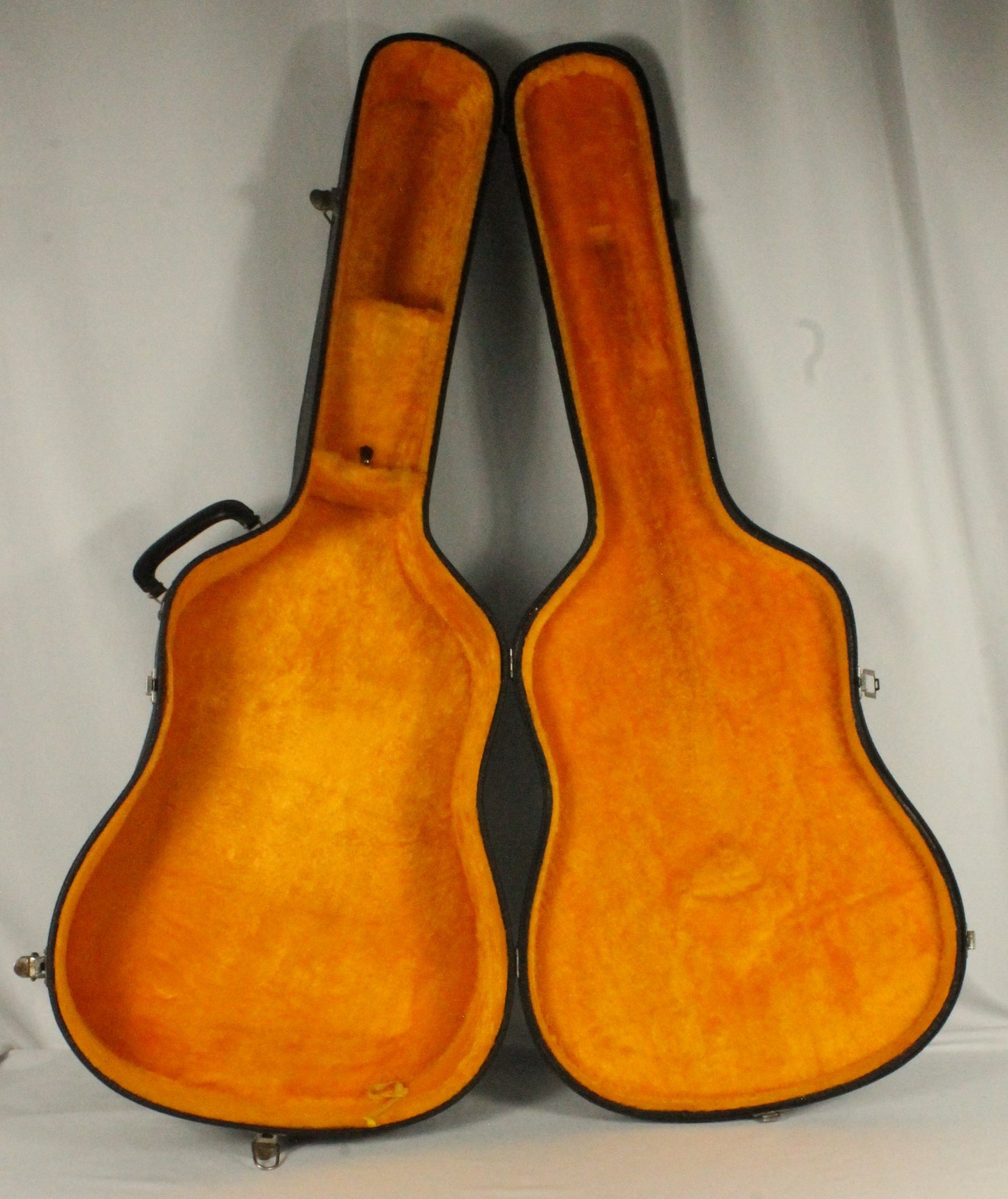 Shiro Acoustic Guitar and Case