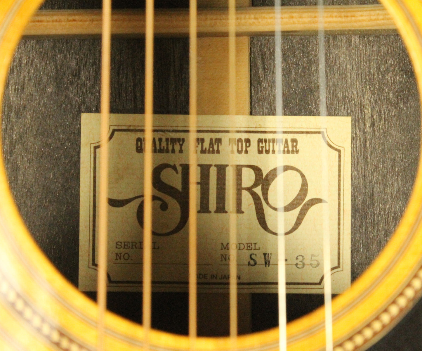 Shiro Acoustic Guitar and Case