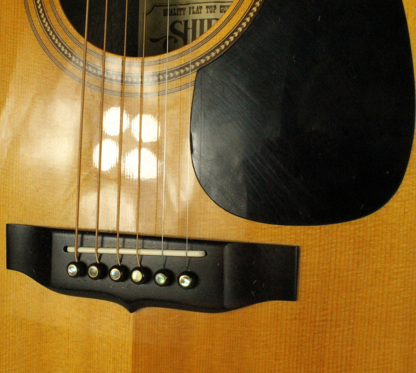 Shiro Acoustic Guitar and Case