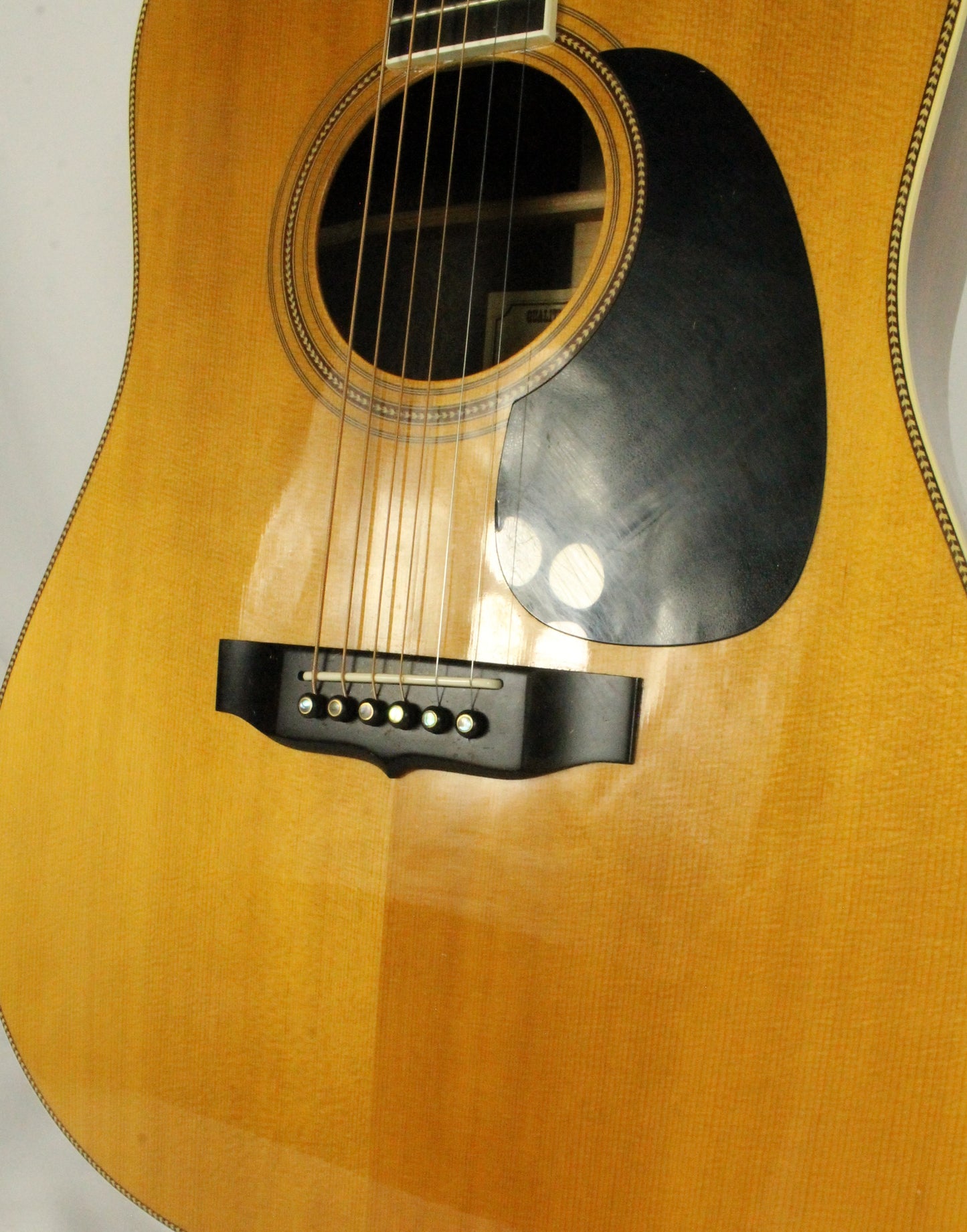 Shiro Acoustic Guitar and Case