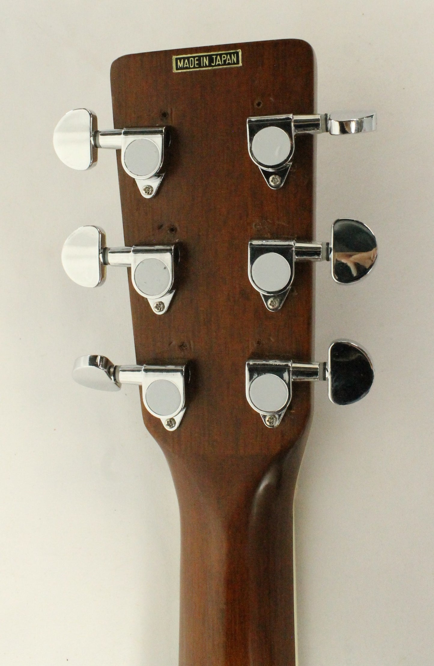 Shiro Acoustic Guitar and Case