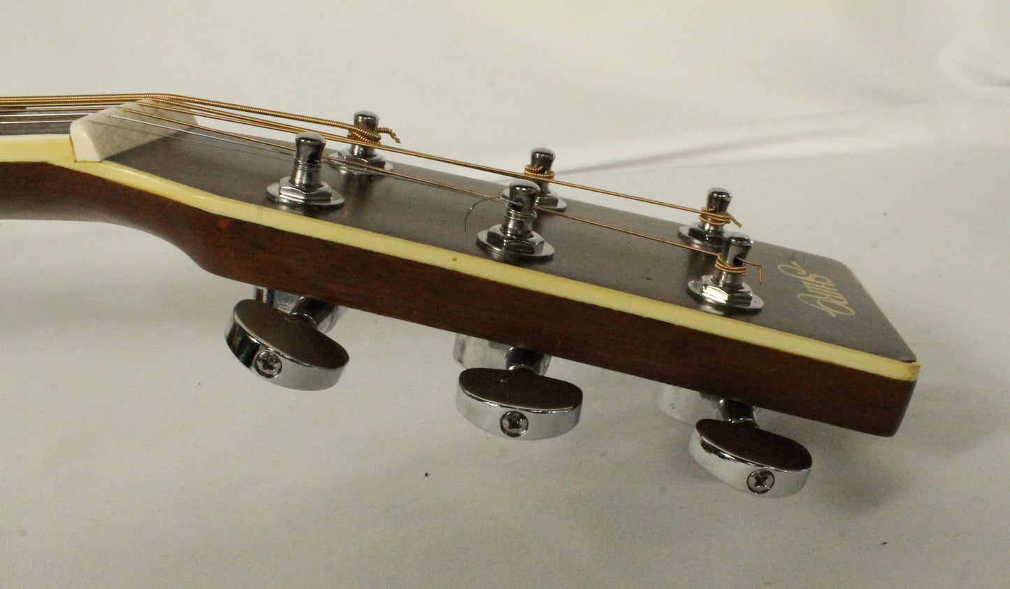 Shiro Acoustic Guitar and Case
