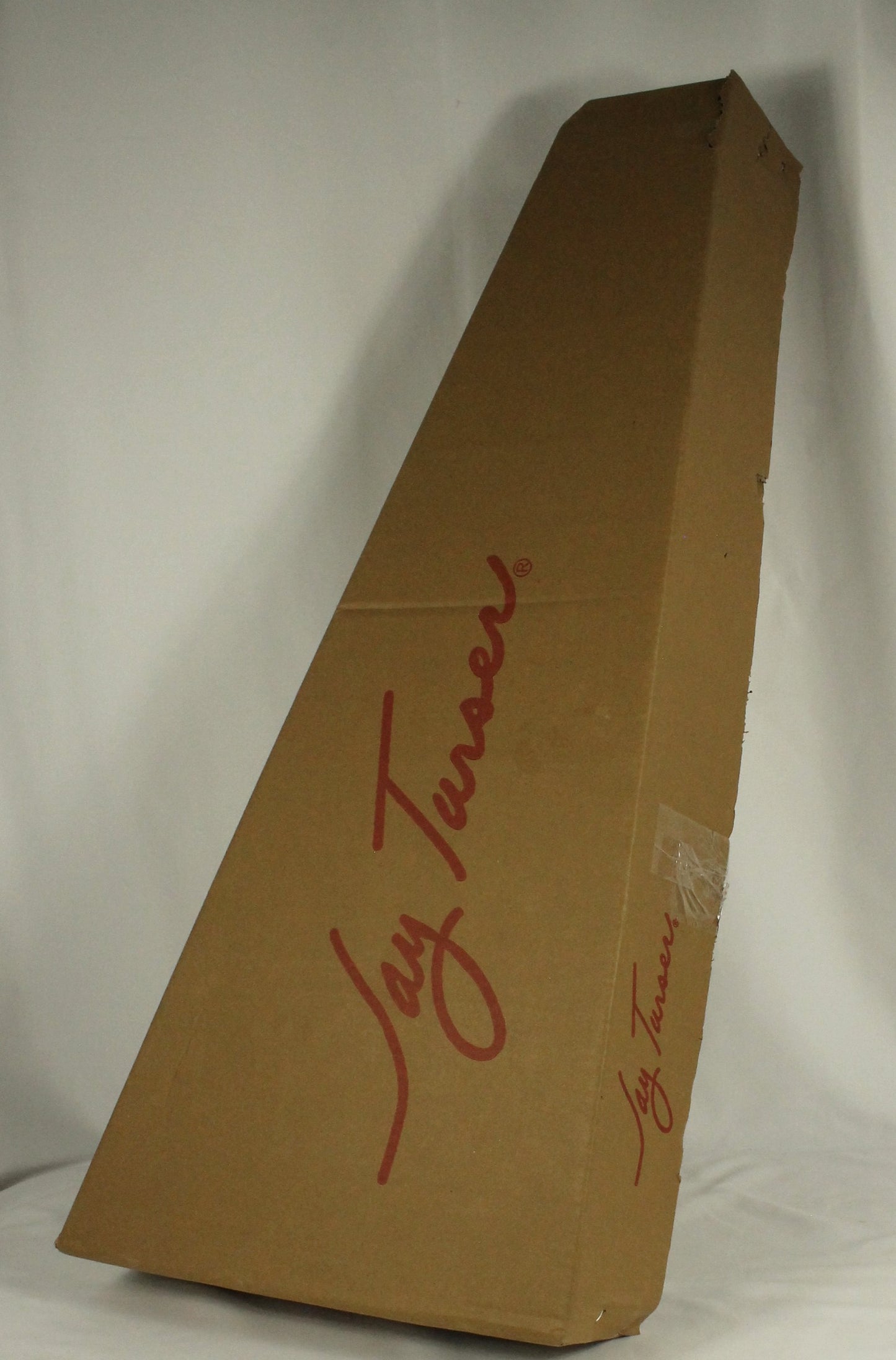 Jay Turser JTA-53 SBK Guitar