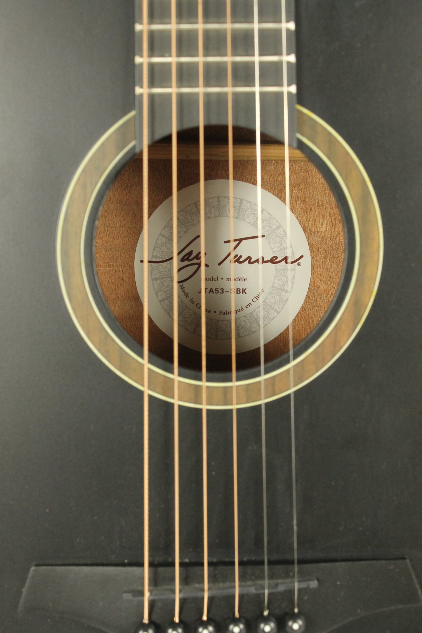 Jay Turser JTA-53 SBK Guitar