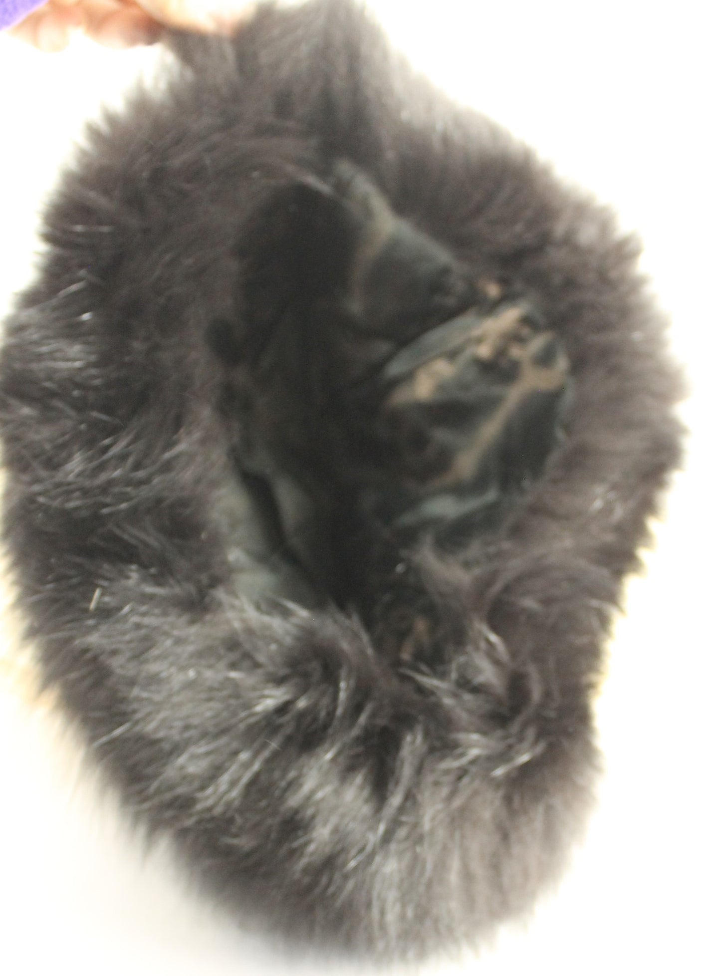 Vintage Collection of Seven Elegant Fur Hats – Assorted Styles & Colors