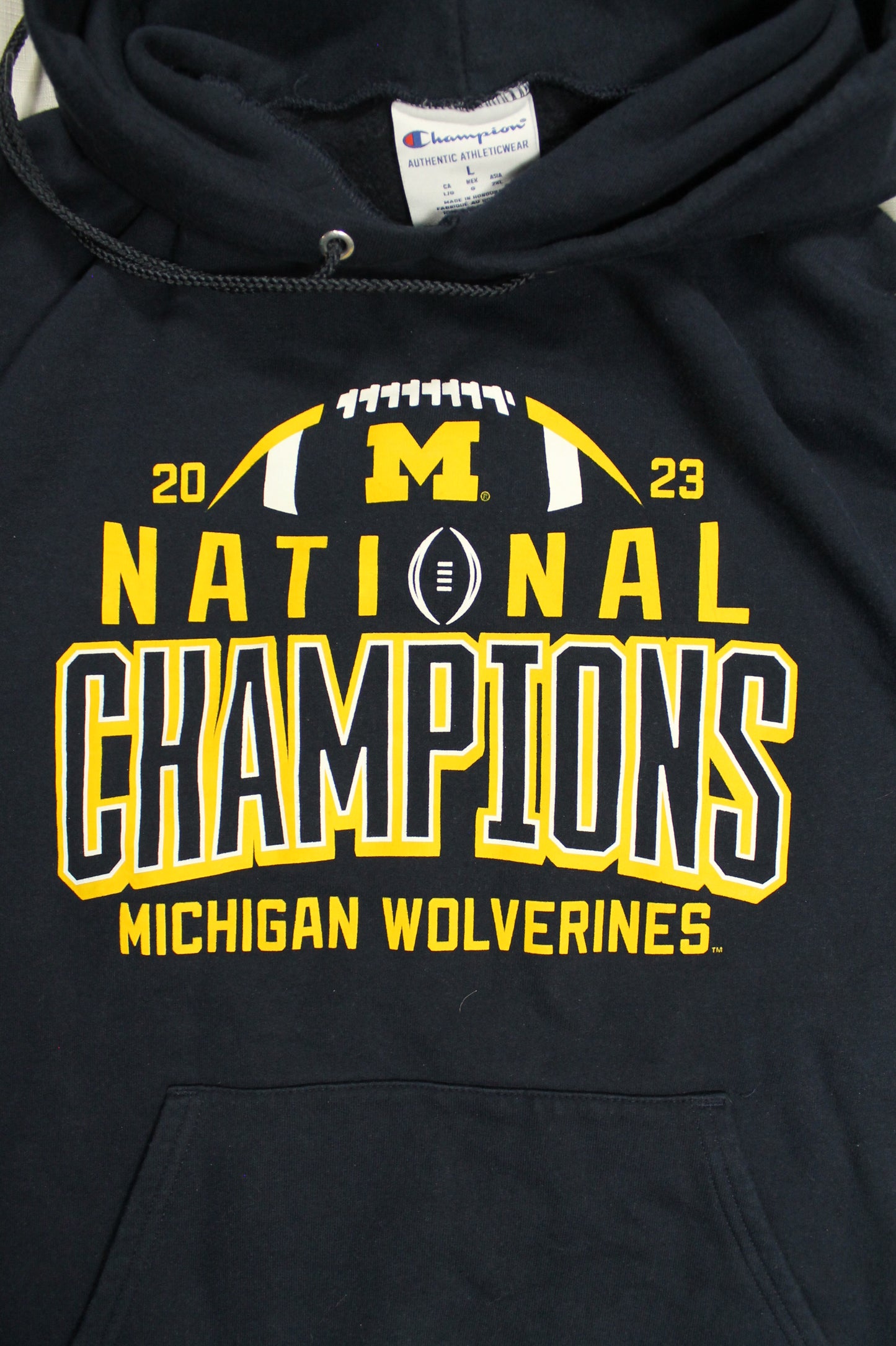 Champion Michigan Wolverines Hoodie Men's Size Large