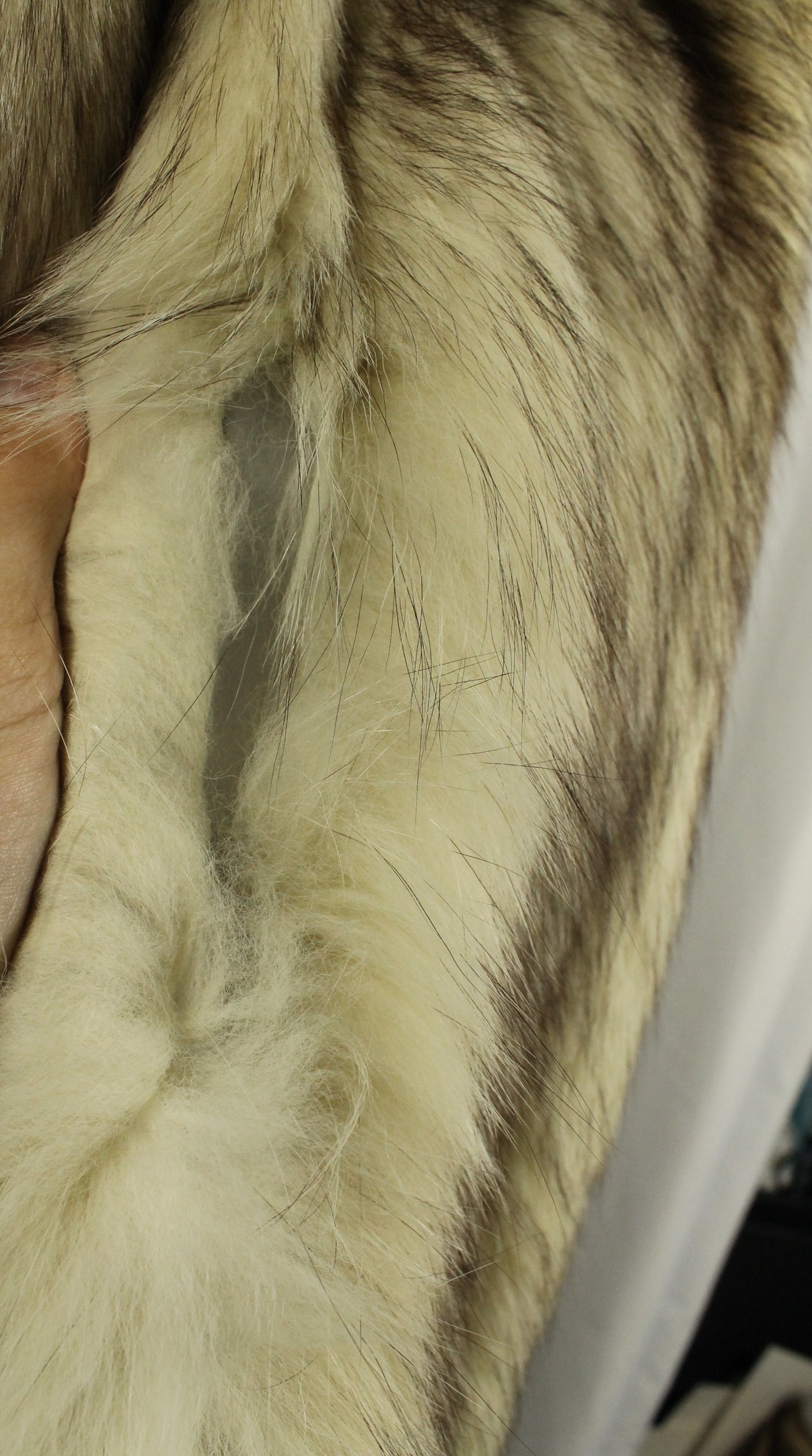 Plush Vintage Long-Haired Fox Fur Coat - Blonde/Silver Tones in Size 10 - Classic Eaton Retail