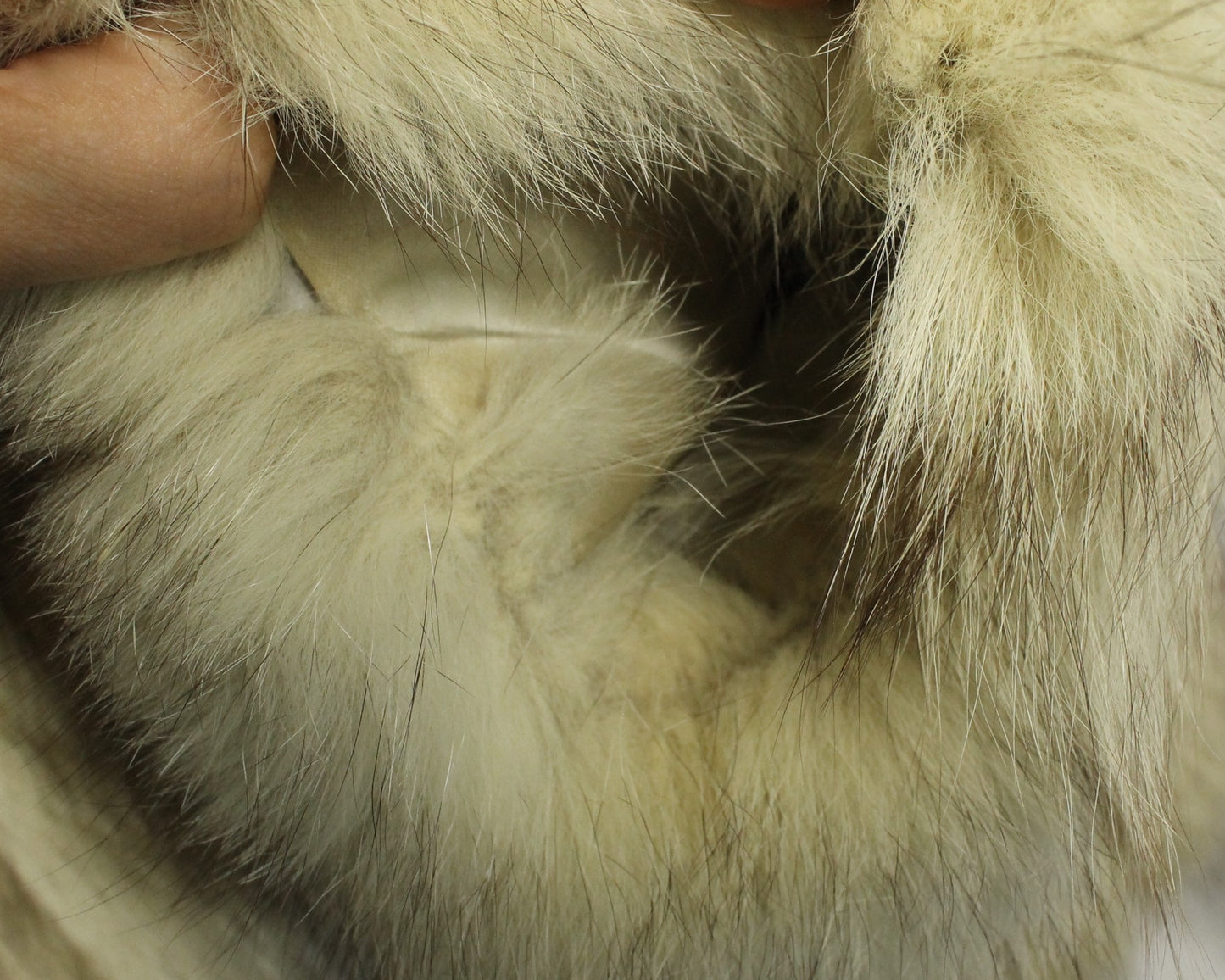 Plush Vintage Long-Haired Fox Fur Coat - Blonde/Silver Tones in Size 10 - Classic Eaton Retail