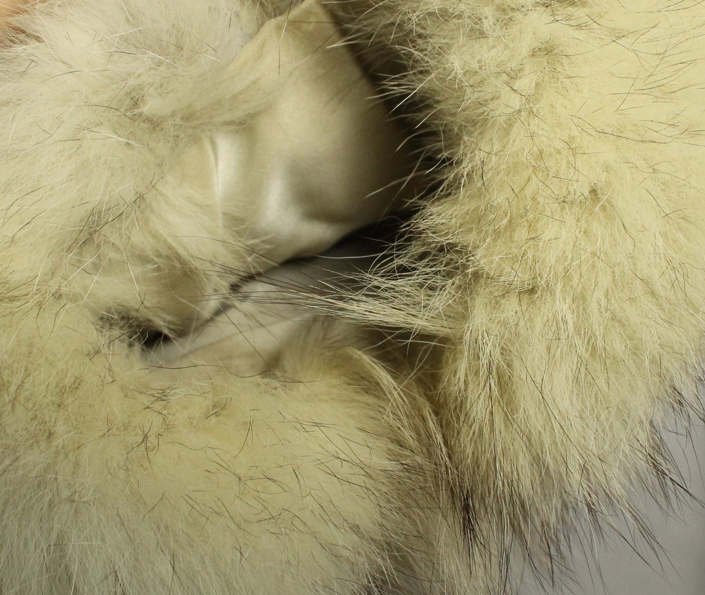 Plush Vintage Long-Haired Fox Fur Coat - Blonde/Silver Tones in Size 10 - Classic Eaton Retail