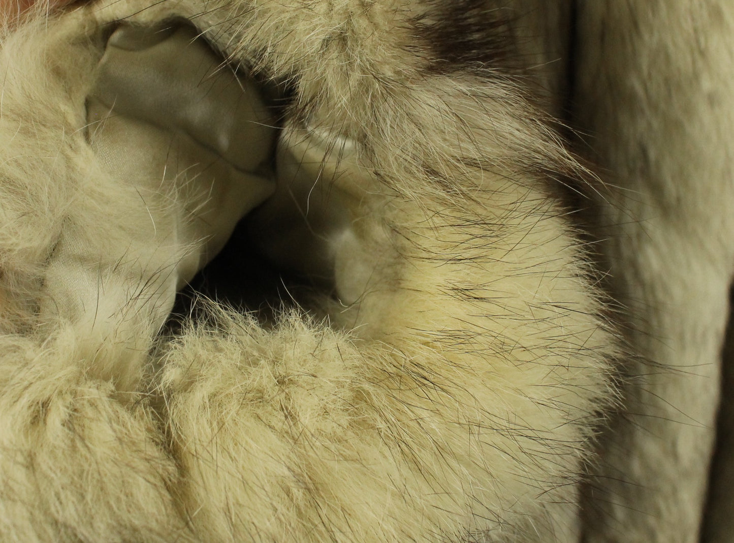 Plush Vintage Long-Haired Fox Fur Coat - Blonde/Silver Tones in Size 10 - Classic Eaton Retail