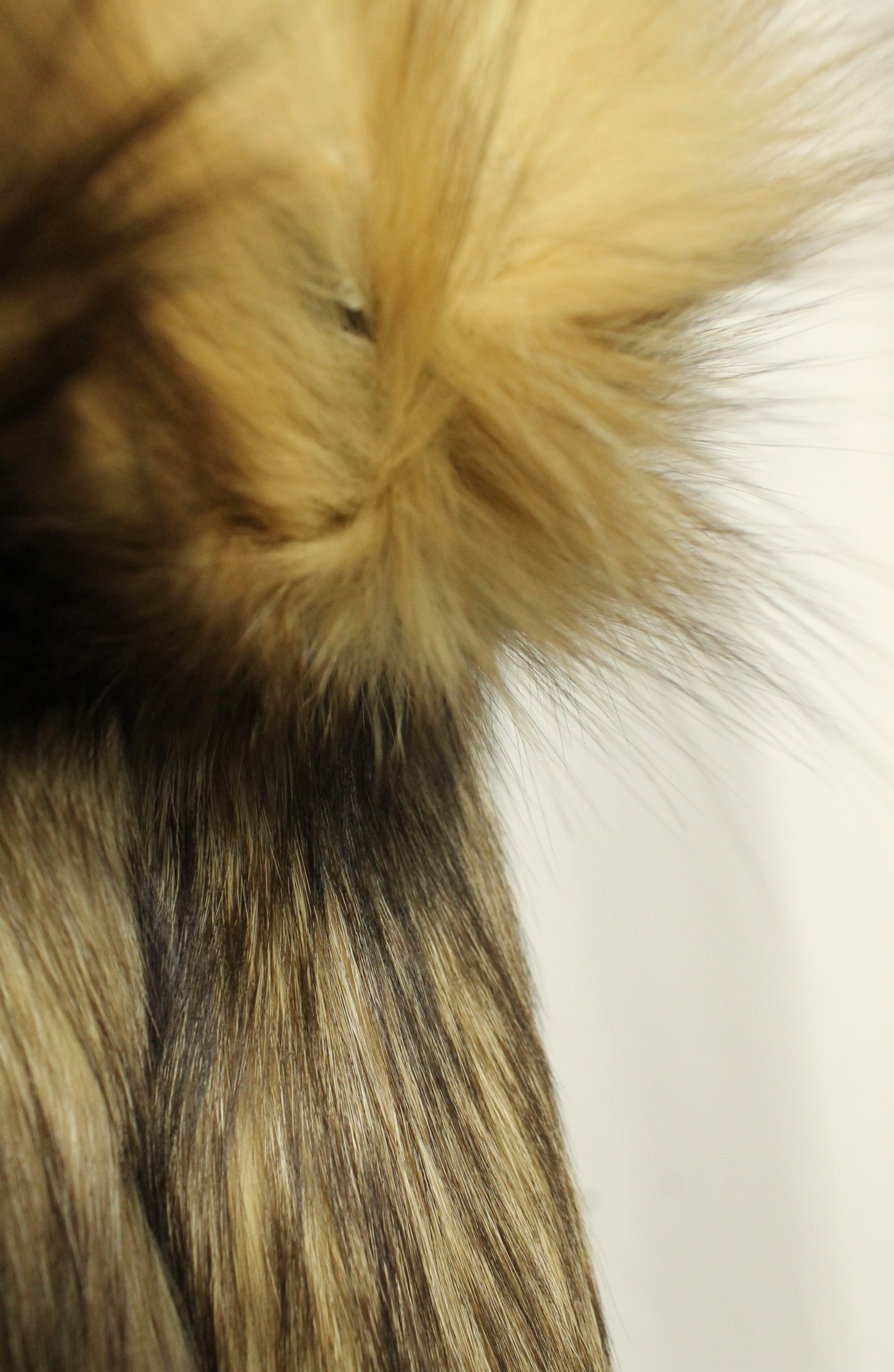 Vintage Klyman Furs Ltd. Tawny Fox/Raccoon Fur Jacket with White Fox Trim (Vintage Size 8)