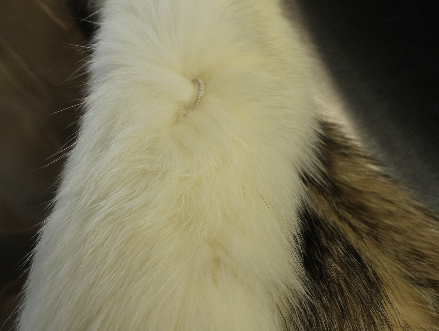 Vintage Klyman Furs Ltd. Tawny Fox/Raccoon Fur Jacket with White Fox Trim (Vintage Size 8)