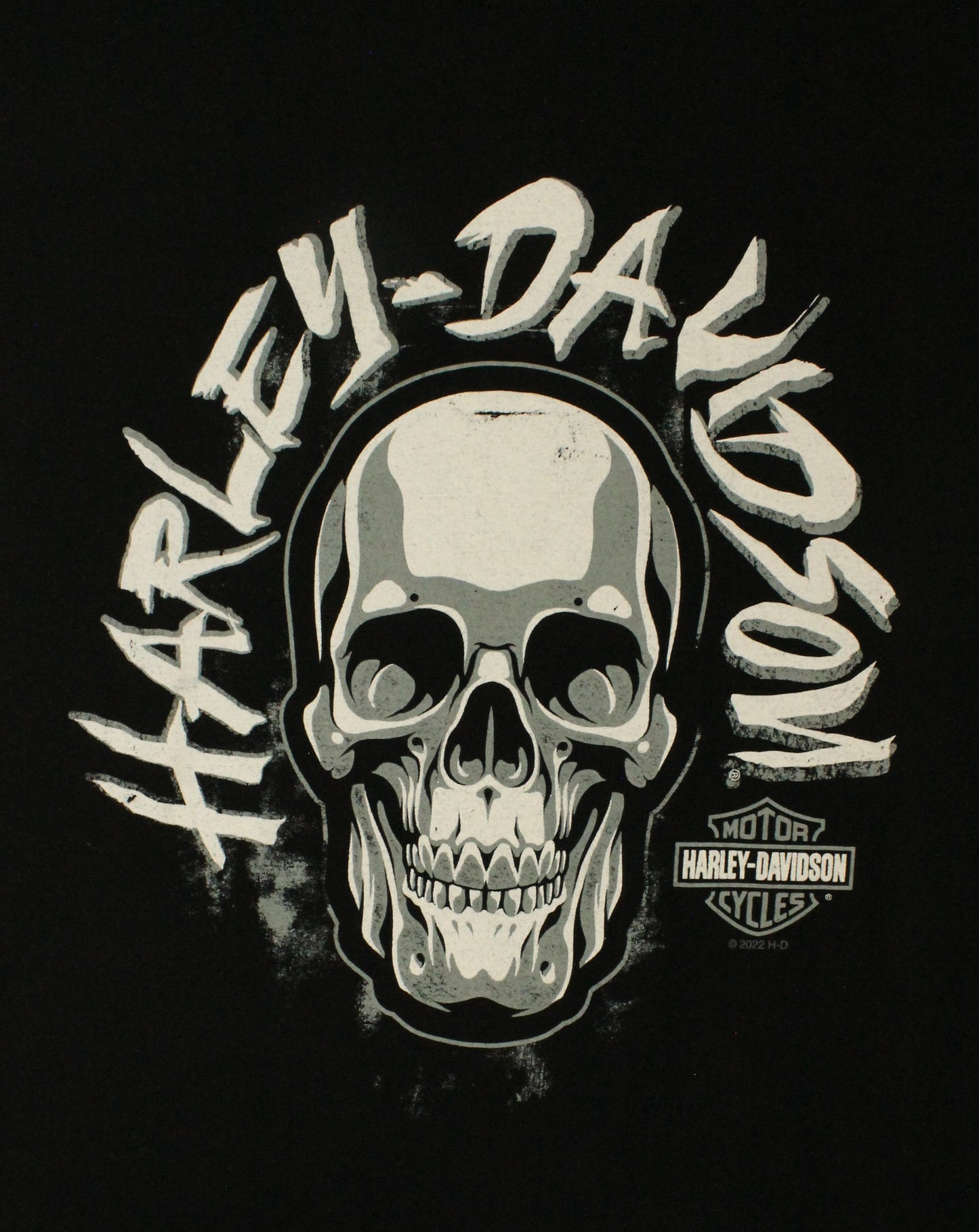 Harley-Davidson Singapore T-Shirt Size Small