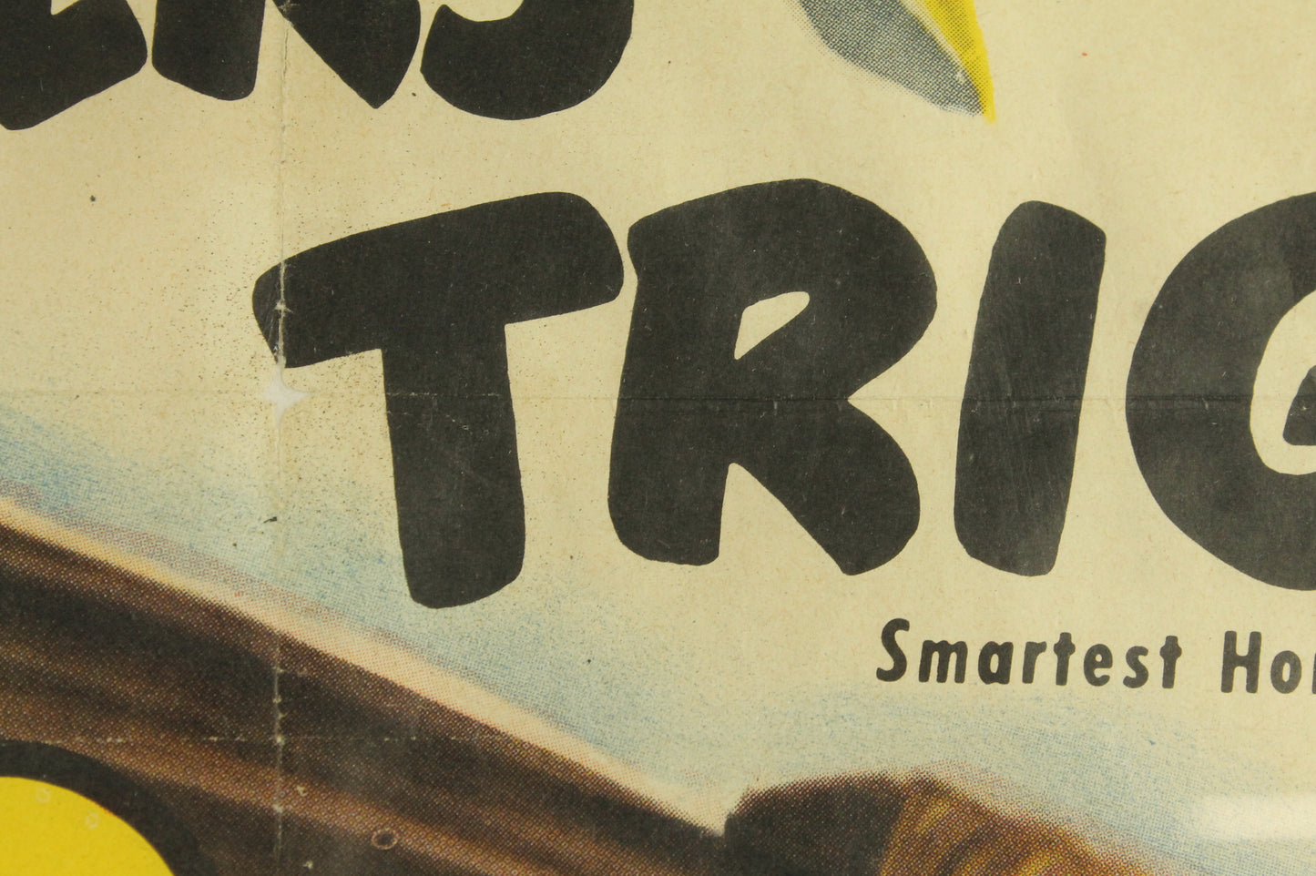 Vintage 1951 Roy Rogers & Trigger Movie Poster - South of Caliente - Framed