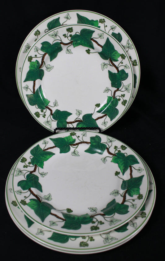 Wedgwood Napoleon Ivy Dinner Plates - Set of 4 - Made in England