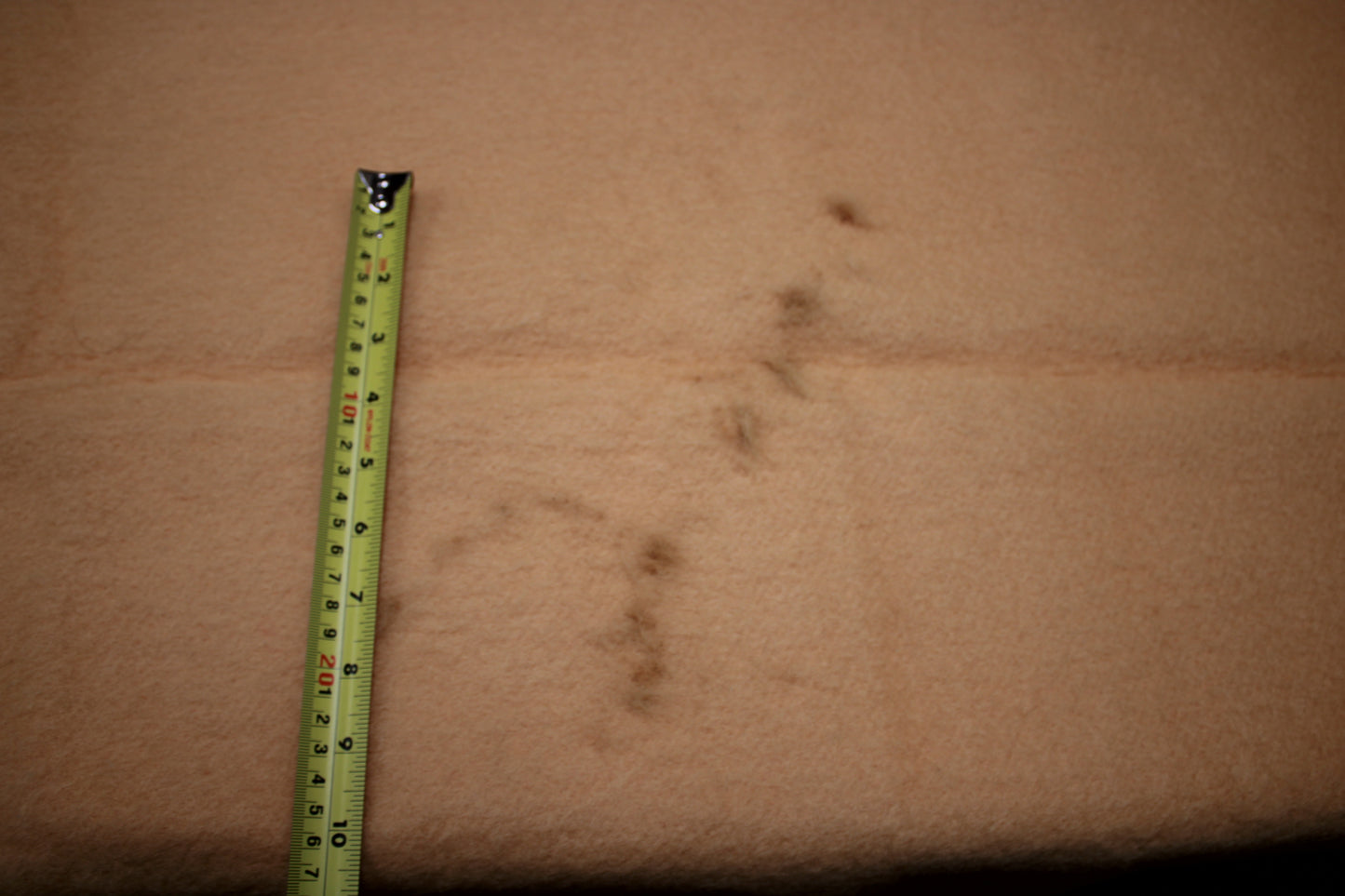 Early's of Witney 4-Point Wool Blanket in Goldenrod