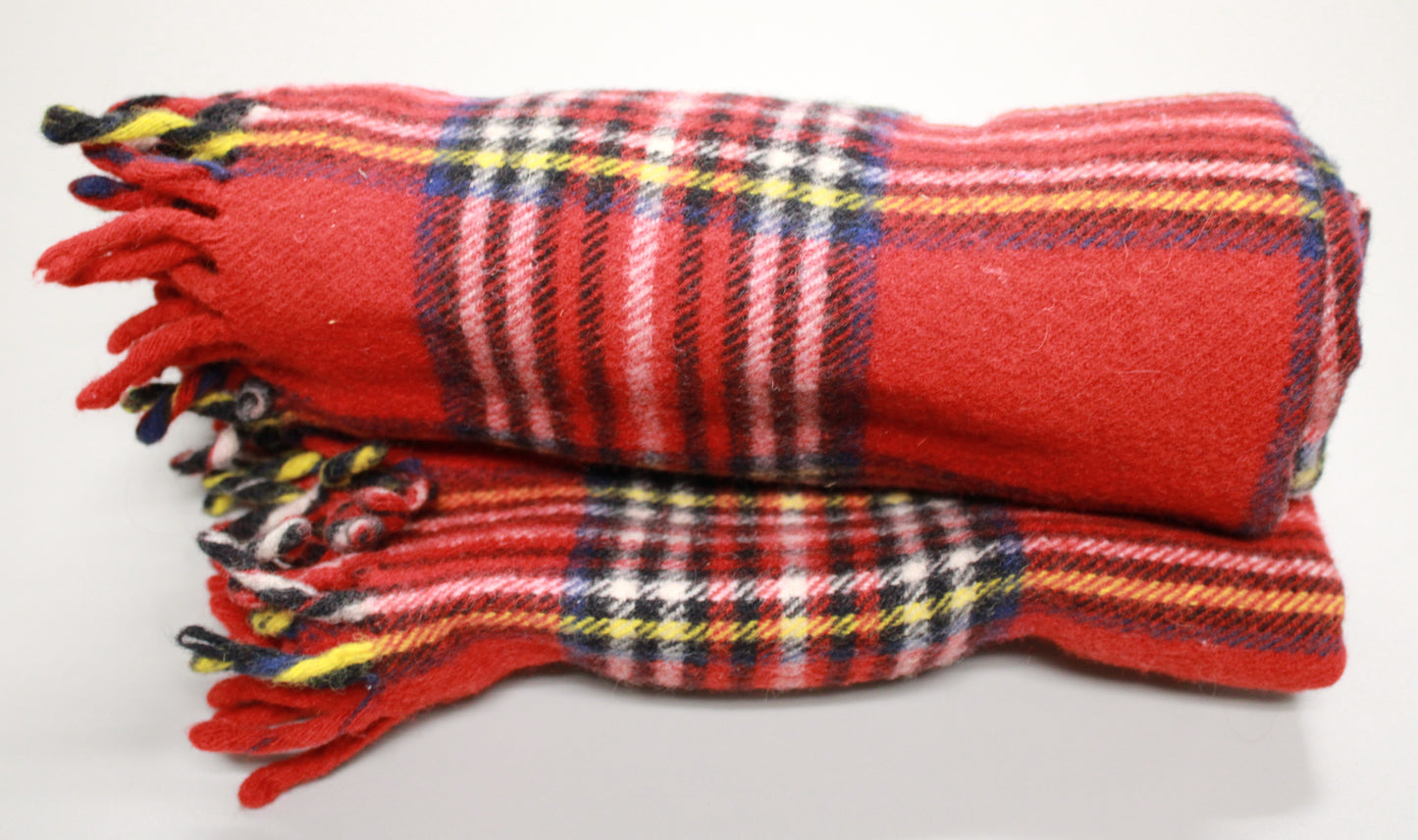 J. Crew Tartan Wool Picnic Blanket with Leather Carrier