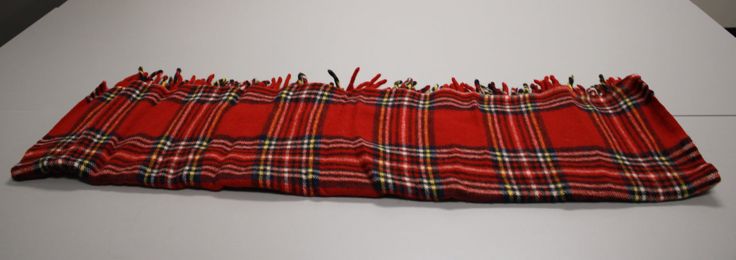 J. Crew Tartan Wool Picnic Blanket with Leather Carrier