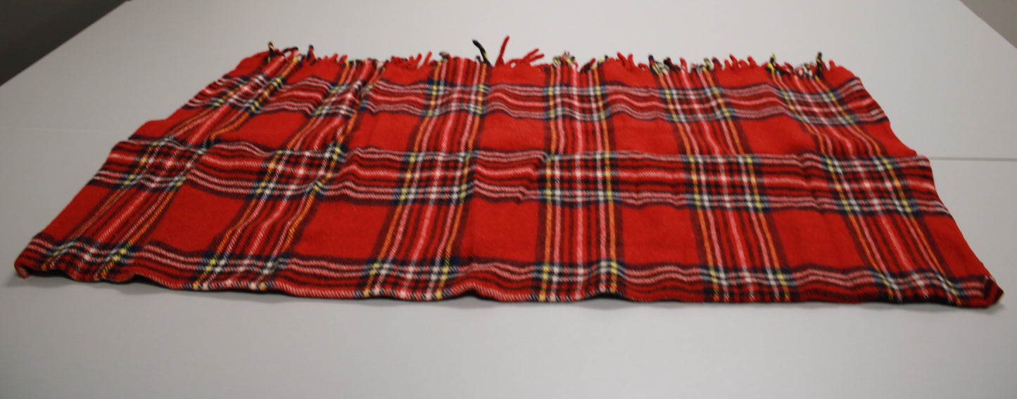 J. Crew Tartan Wool Picnic Blanket with Leather Carrier