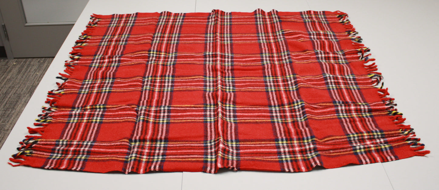 J. Crew Tartan Wool Picnic Blanket with Leather Carrier