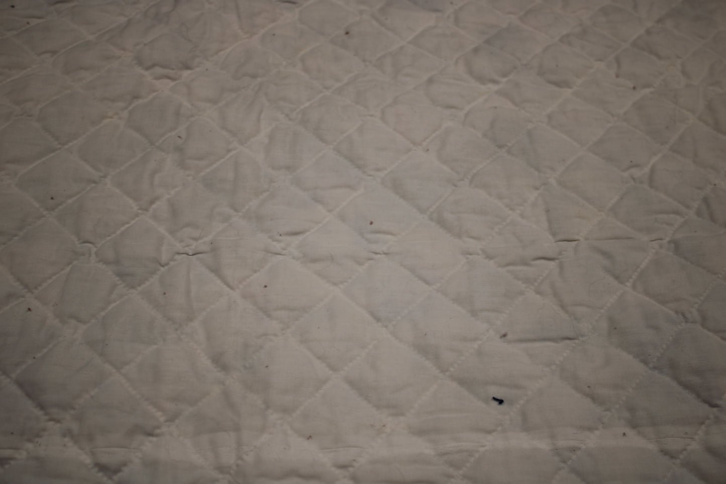 Hand-Pieced and Hand-Quilted King Floral Quilt