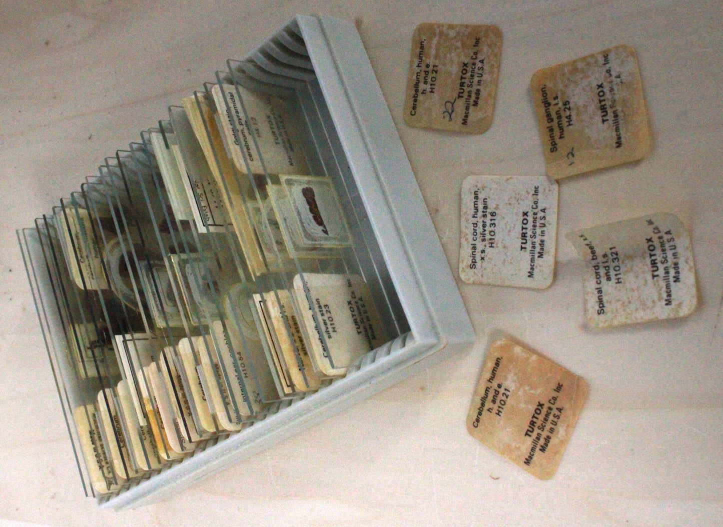 Vintage Bristol Binocular Microscope Set No. 7411 in Original Cabinet