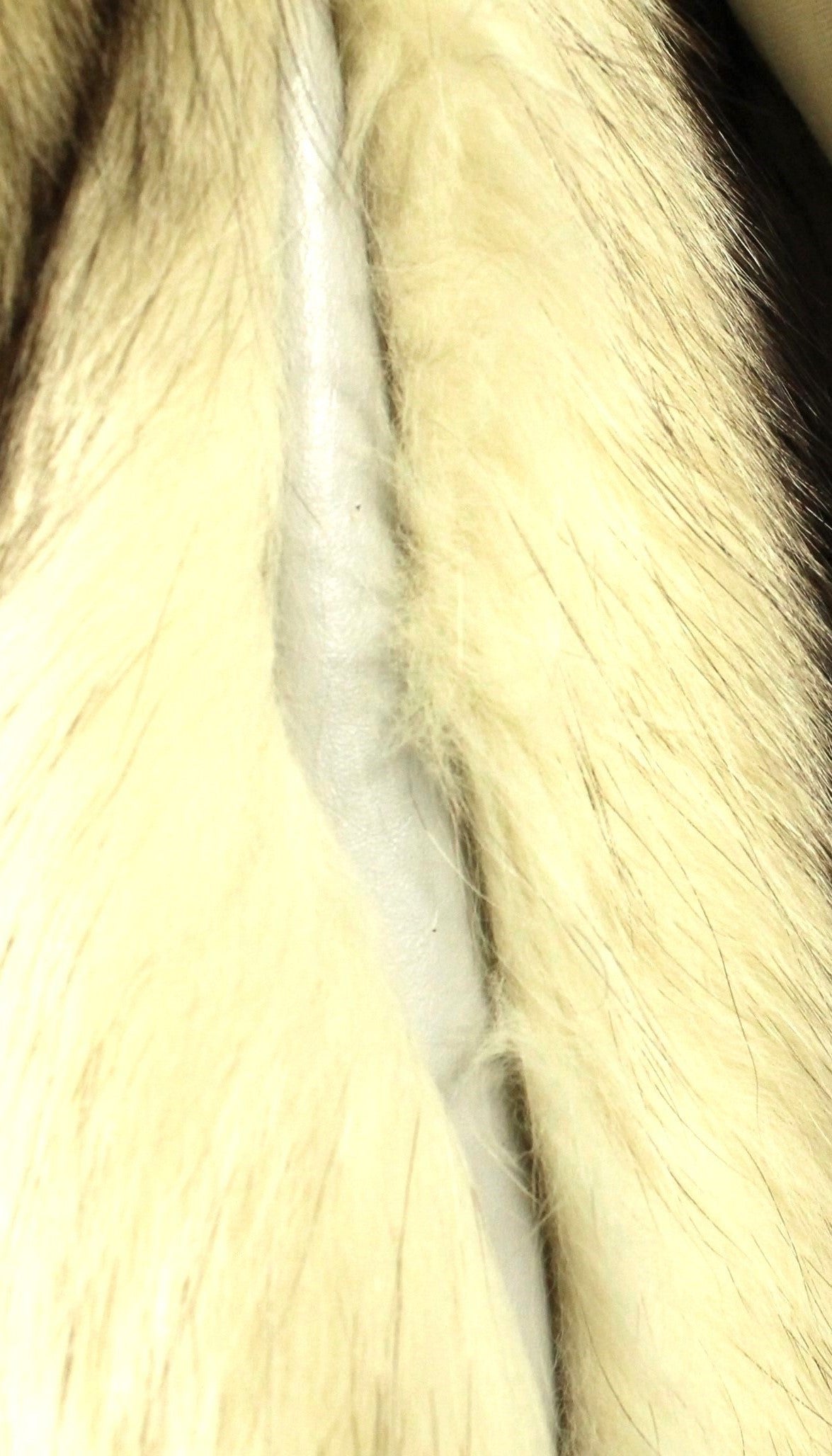 Plush Vintage Long-Haired Fox Fur Coat - Blonde/Silver Tones in Size 10 - Classic Eaton Retail