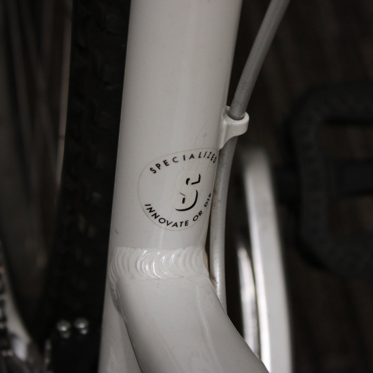 Close-up of a white bicycle frame with a Specialized logo on a dark background