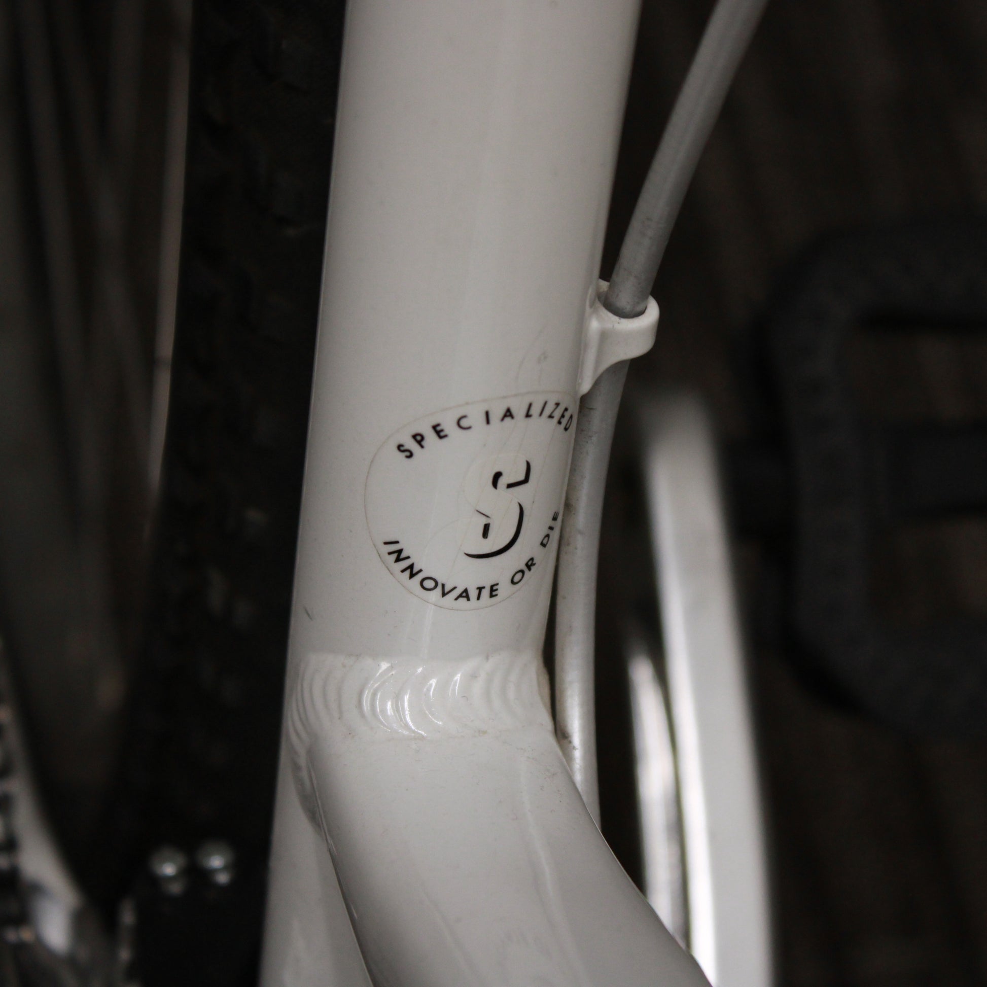 Close-up of a white bicycle frame with a Specialized logo on a dark background