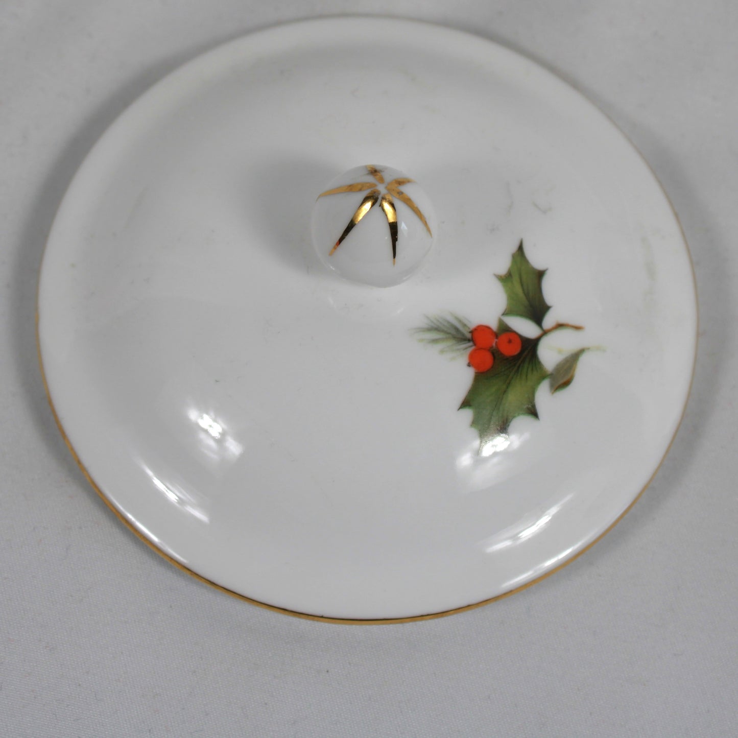 Sadler Windsor Fine Porcelain Poinsettia Christmas Mug with Lid