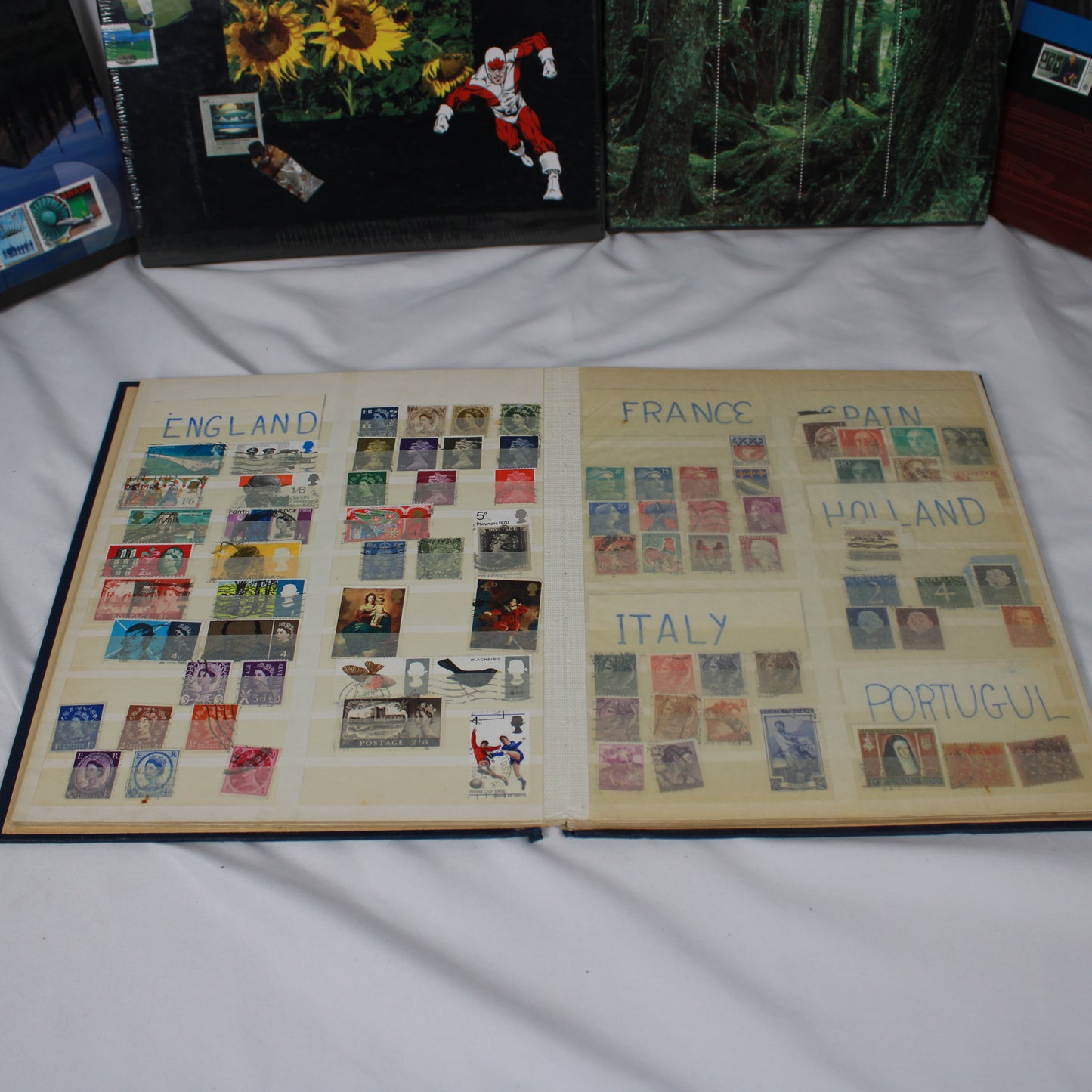 Canada Post Annual Stamp Collection Books & International Stock book Lot