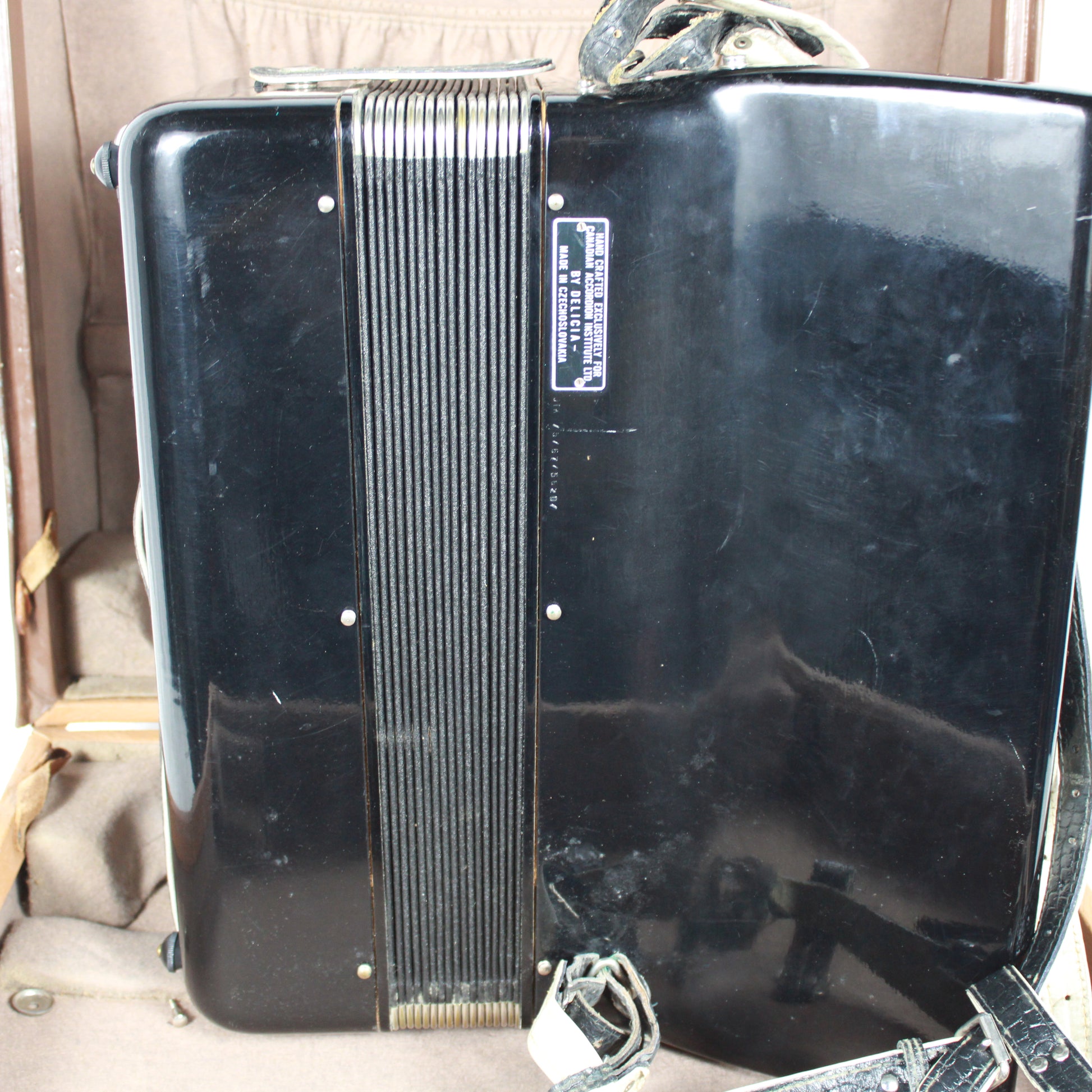 1960s Delicia Baby II Piano Accordion with Hard Case - Black