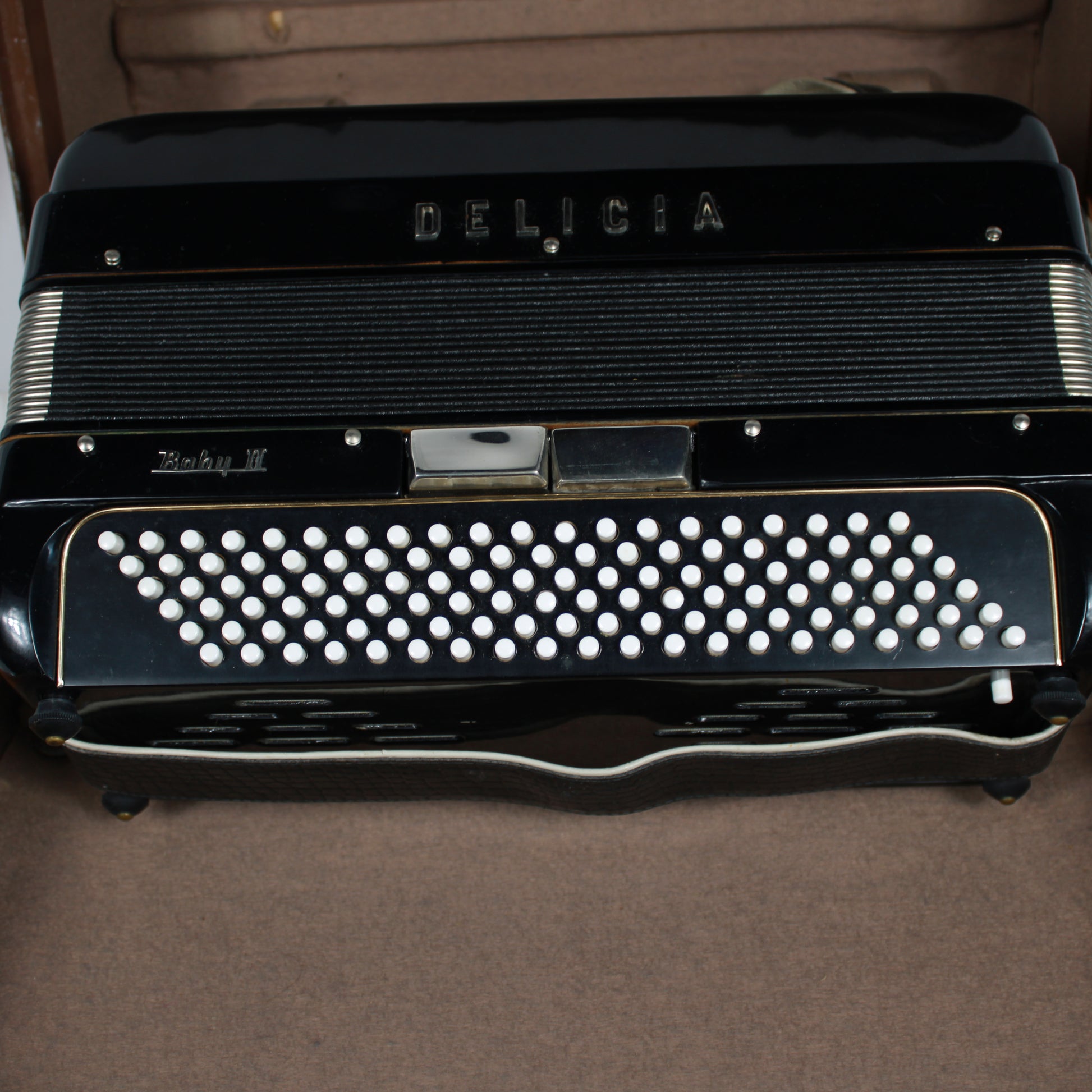 1960s Delicia Baby II Piano Accordion with Hard Case - Black
