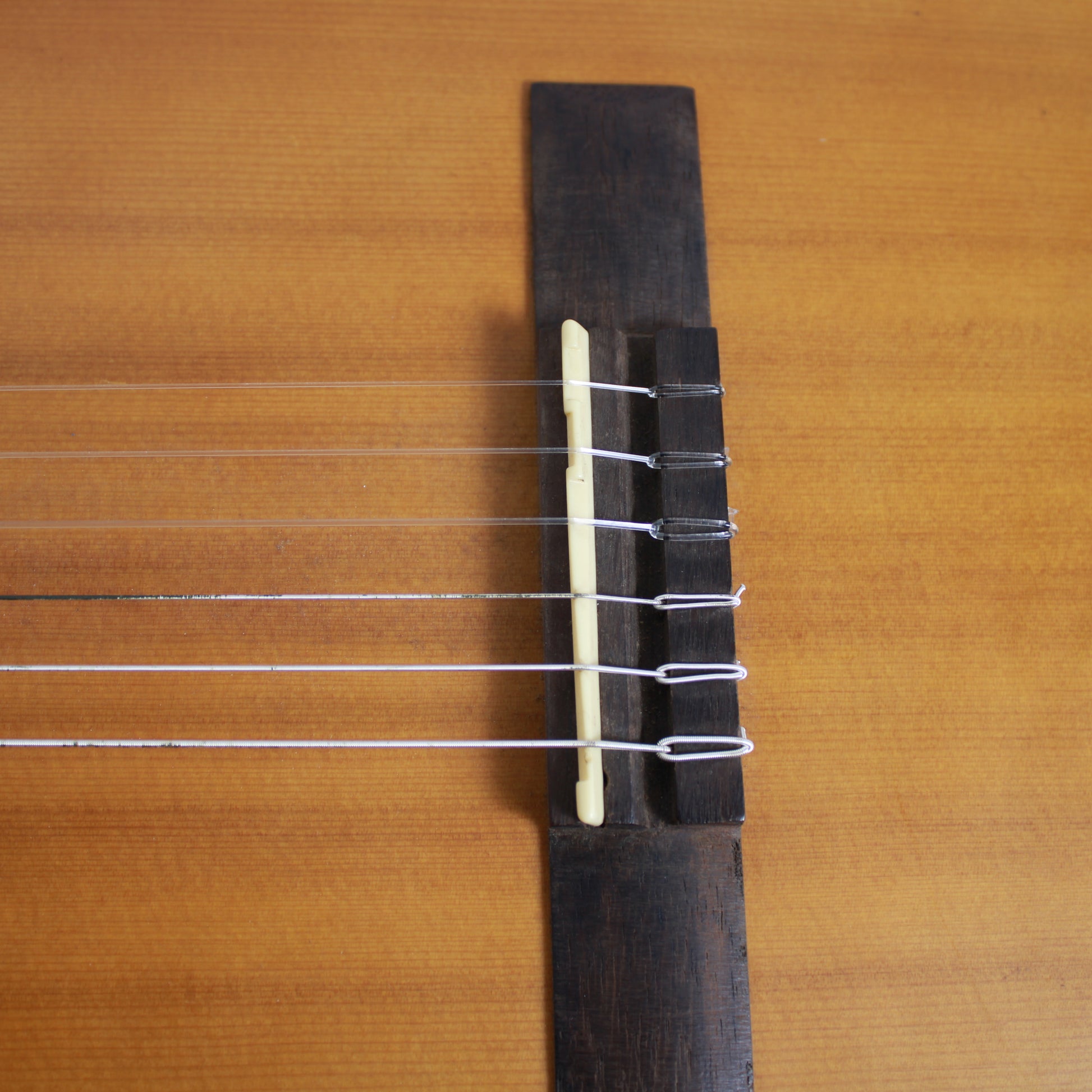 Jordan Guitars Acoustic-Electric Classical Guitar (Model RM-CL/N)