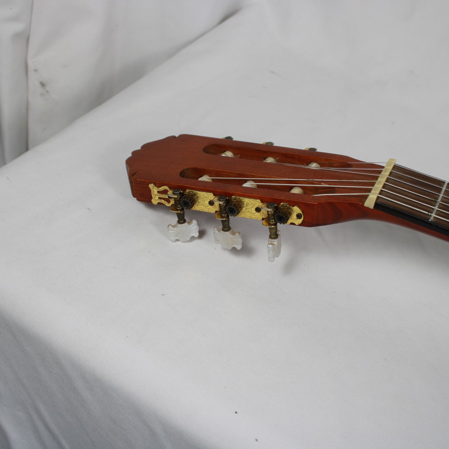 Jordan Guitars Acoustic-Electric Classical Guitar (Model RM-CL/N)