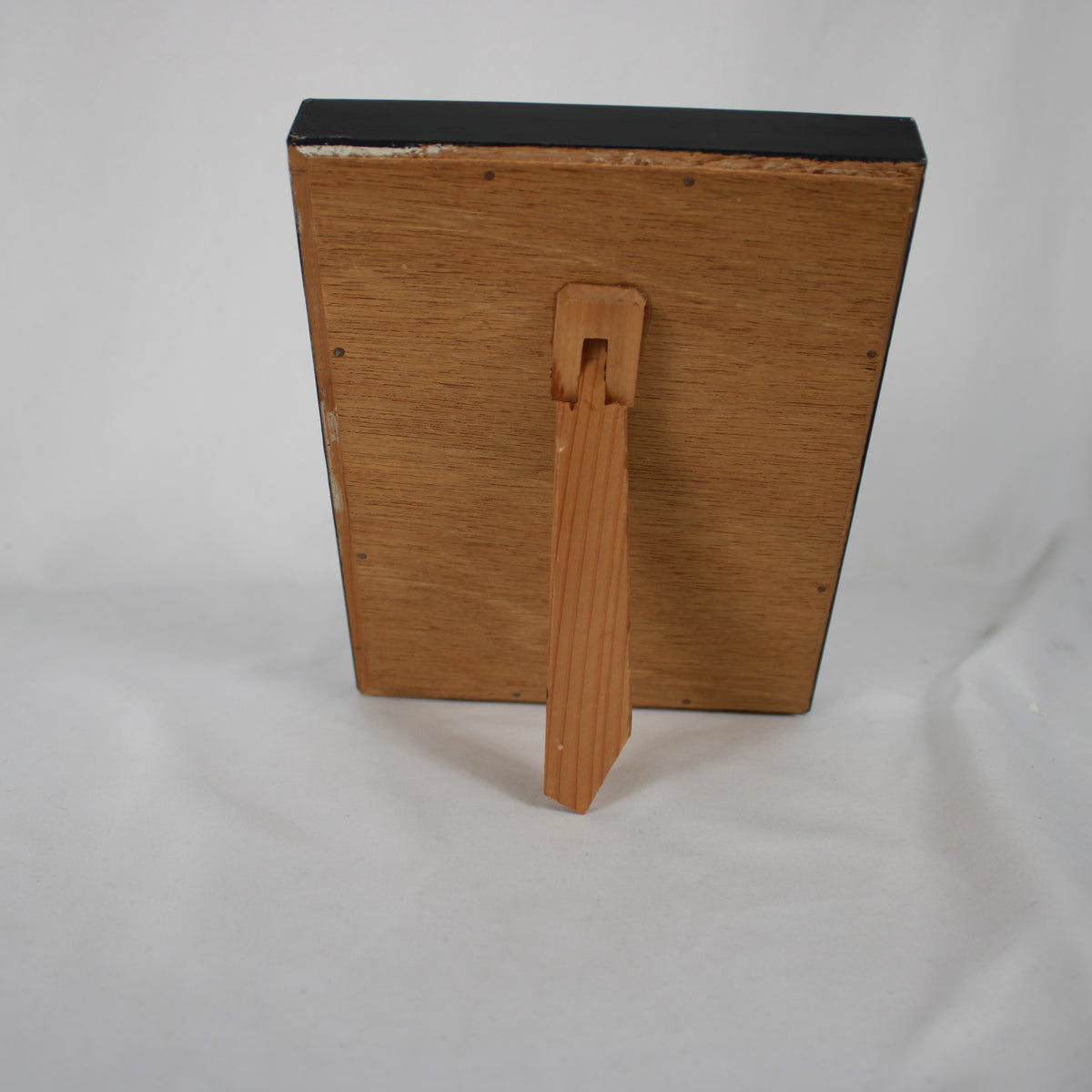 Framed Pearl Cultivation Educational Shadow Box Display