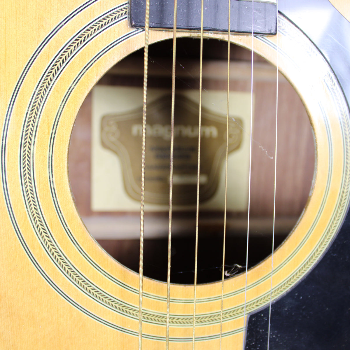 Magnum Handcrafted Acoustic Guitar with Hard Case