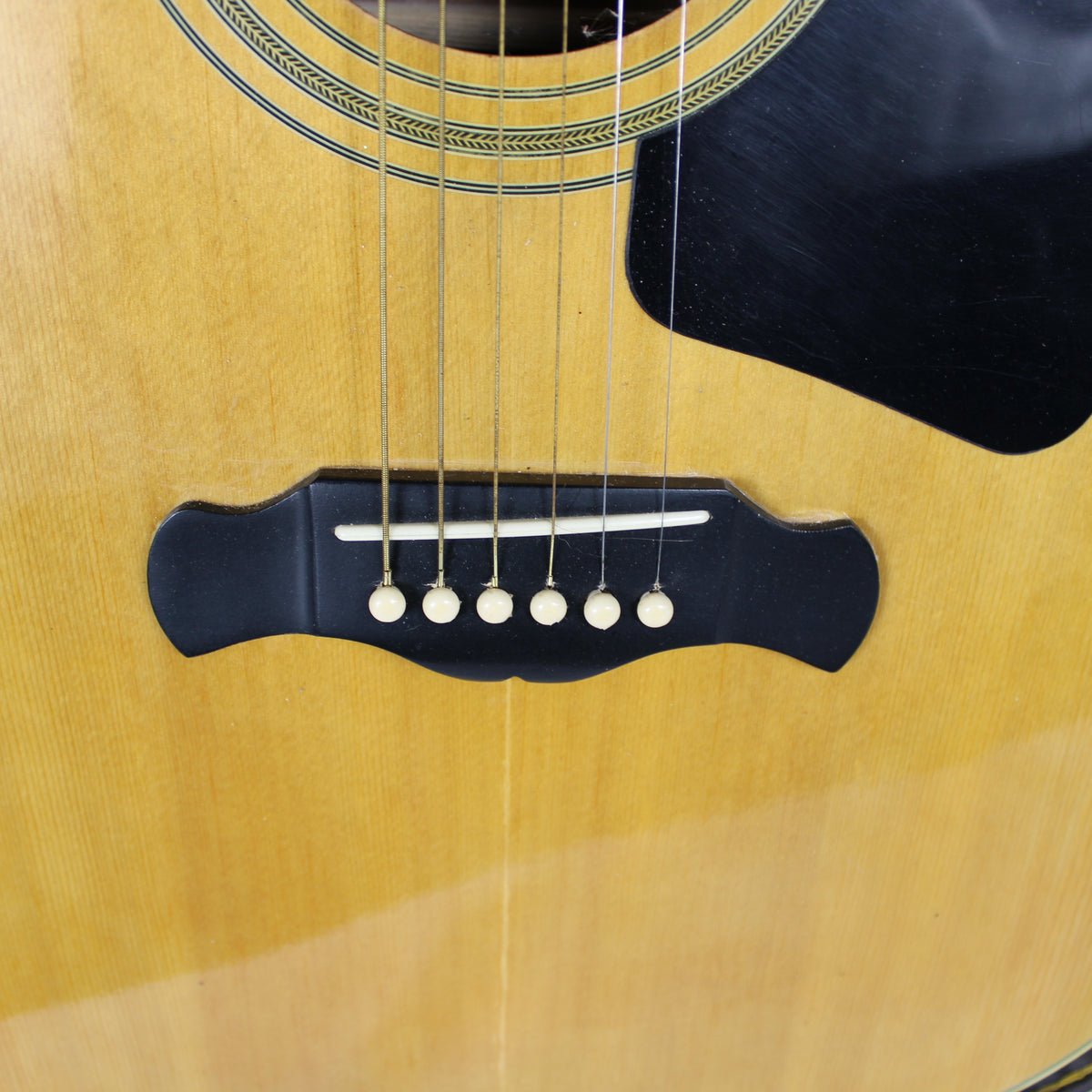 Magnum Handcrafted Acoustic Guitar with Hard Case