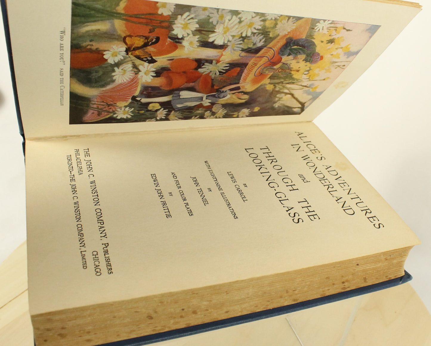 Alice In Wonderland Wonders in Wonderland by Lewis Carroll
