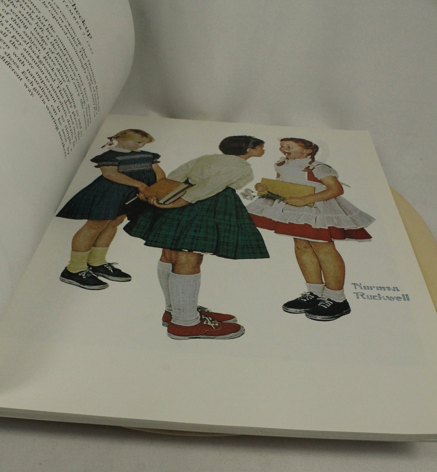 Norman Rockwell 2 Book Lot: 332 Magazine Covers & 50 Favorites - Large Art Collection