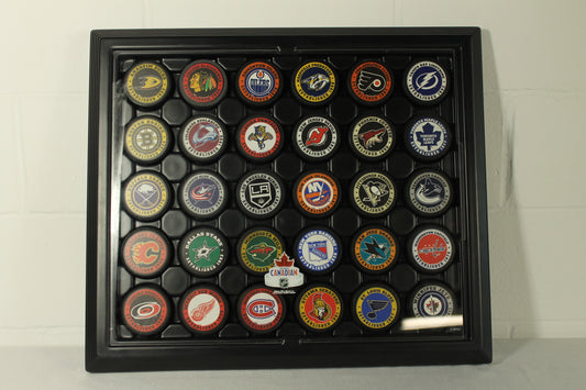 Hockey Puck Display